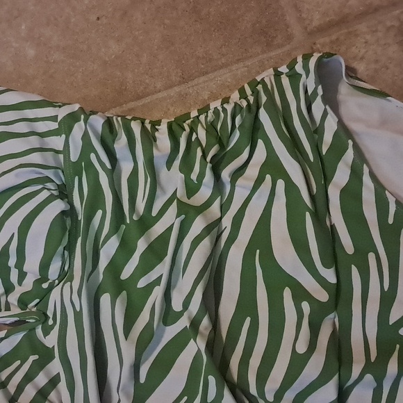 Anne Cole Green White Zebra Stripe V-Wire One Piece Swimsuit Size 18W Shirred - Picture 4 of 10